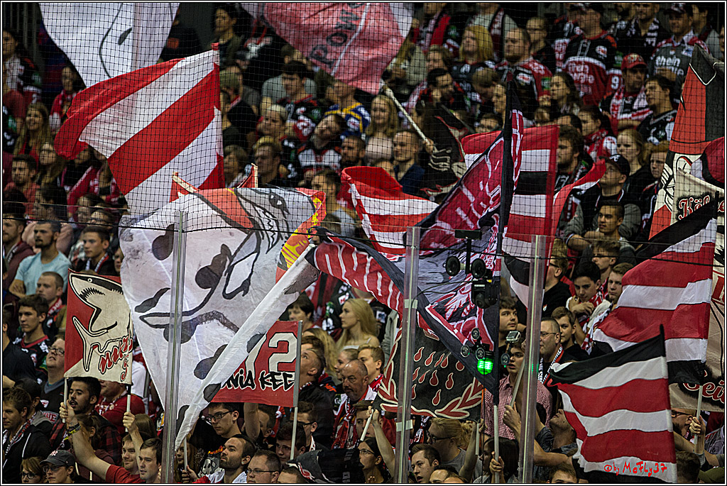 Koelner Haie - Krefeld Pinguine , 23.09.16(KW38)